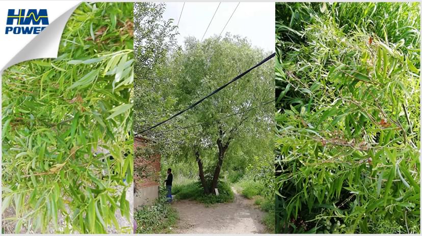 IPS小電流接地故障檢測(cè)裝置