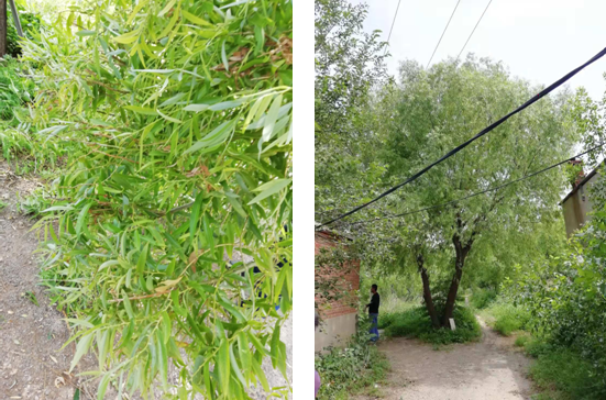 電氣事故引發(fā)加州山火，據(jù)說這個(gè)裝置可以避免事故發(fā)生！